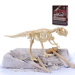 儿童恐龙化石玩具模型 考古挖掘 DIY拼装玩具（四款可选）